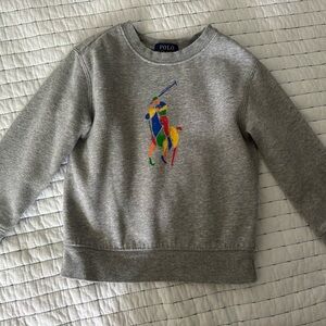 Polo by Ralph Lauren Kids Gray Sweatshirt with Colorful Logo